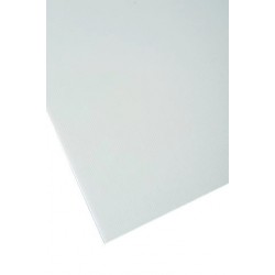 POLIONDA 50X150X2,5 BLANCO