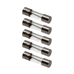 FUSIBLE CRISTAL 5X20 6A BLS