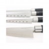 SET 4 CUCHILLOS PORF.SANTOKU CECOTEC